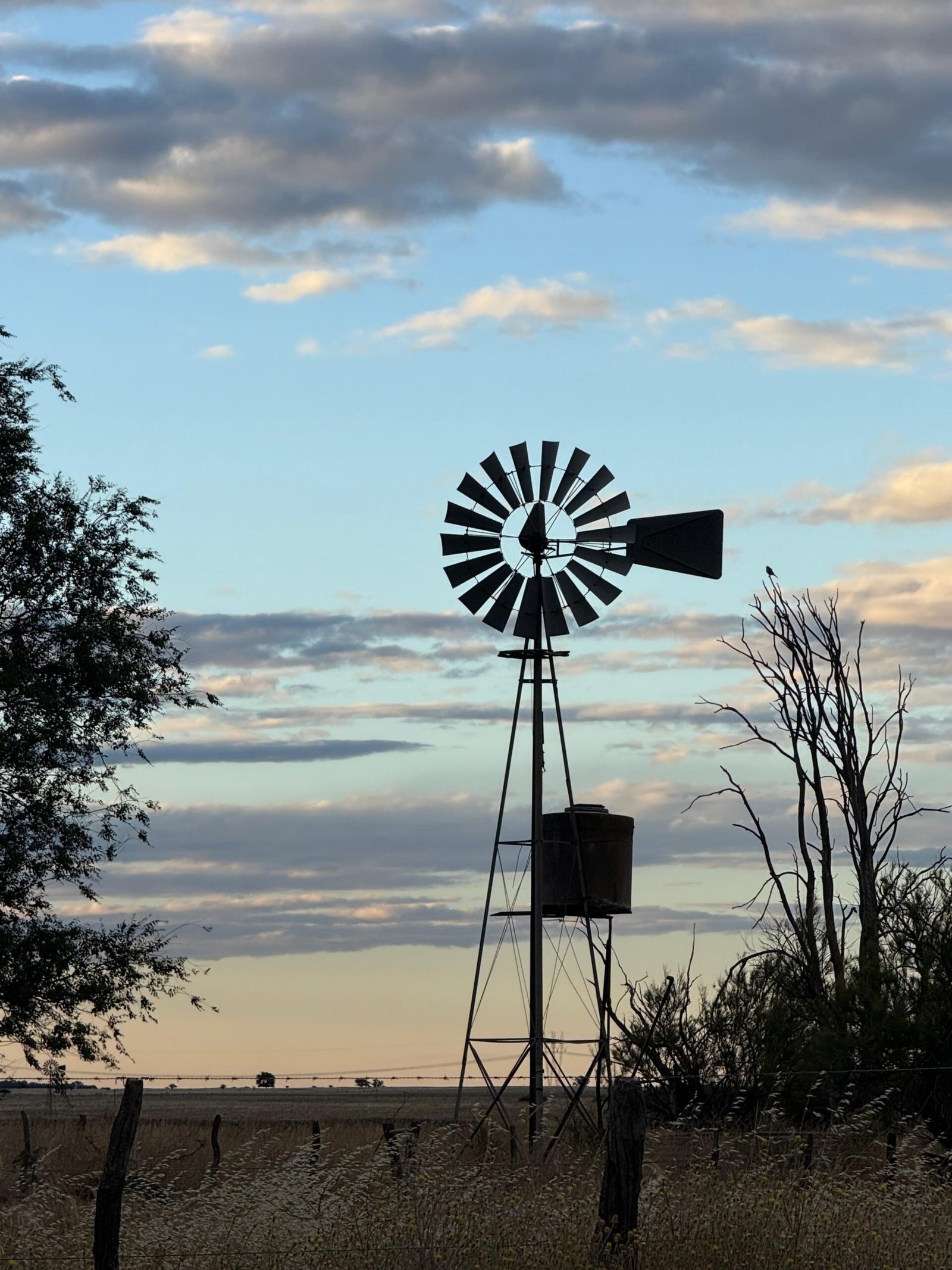 Moinho de vento tradicional sob céu azul em Colonia Santa María La Pampa, ícone das planícies argentinas.