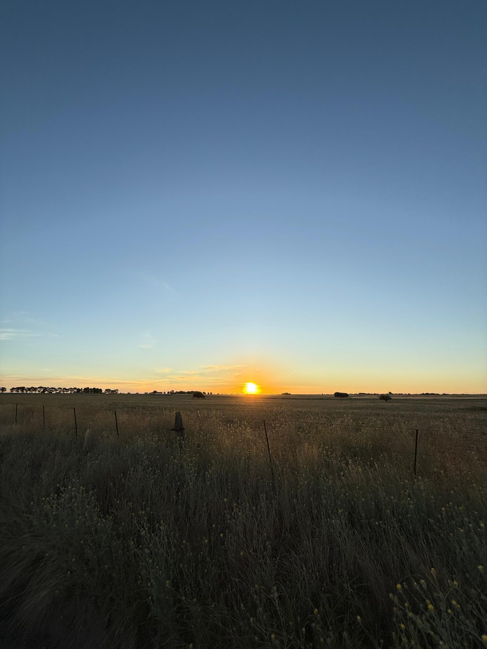 Pôr do sol dourado refletindo no horizonte plano e vasto de Colonia Santa María La Pampa.